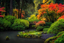 Load image into Gallery viewer, Garden Bridge