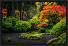 Load image into Gallery viewer, Garden Bridge