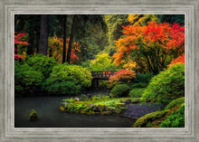 Load image into Gallery viewer, Garden Bridge