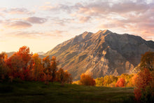 Load image into Gallery viewer, Timpanogos Autumn