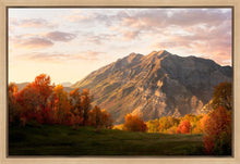 Load image into Gallery viewer, Timpanogos Autumn