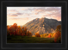 Load image into Gallery viewer, Timpanogos Autumn