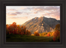 Load image into Gallery viewer, Timpanogos Autumn