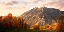 Load image into Gallery viewer, Timpanogos Autumn