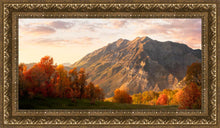 Load image into Gallery viewer, Timpanogos Autumn