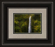 Load image into Gallery viewer, Akaka Falls, Hawaii