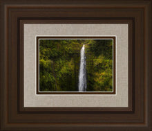 Load image into Gallery viewer, Akaka Falls, Hawaii