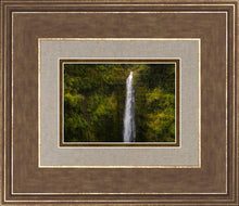 Load image into Gallery viewer, Akaka Falls, Hawaii