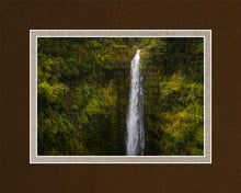 Load image into Gallery viewer, Akaka Falls, Hawaii