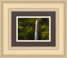 Load image into Gallery viewer, Akaka Falls, Hawaii