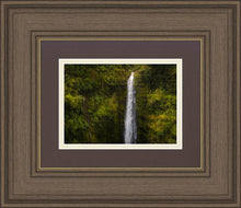 Load image into Gallery viewer, Akaka Falls, Hawaii