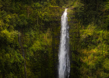 Load image into Gallery viewer, Akaka Falls, Hawaii