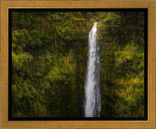 Load image into Gallery viewer, Akaka Falls, Hawaii