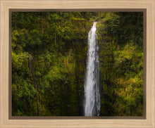 Load image into Gallery viewer, Akaka Falls, Hawaii