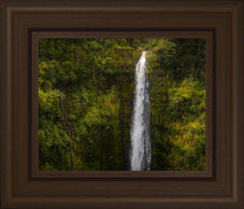 Load image into Gallery viewer, Akaka Falls, Hawaii