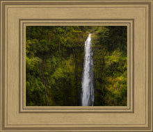 Load image into Gallery viewer, Akaka Falls, Hawaii
