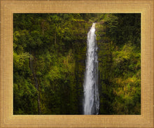 Load image into Gallery viewer, Akaka Falls, Hawaii