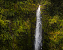 Load image into Gallery viewer, Akaka Falls, Hawaii