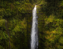 Load image into Gallery viewer, Akaka Falls, Hawaii