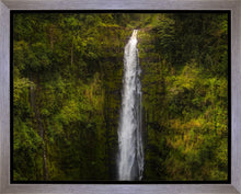 Load image into Gallery viewer, Akaka Falls, Hawaii