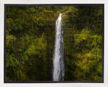 Load image into Gallery viewer, Akaka Falls, Hawaii