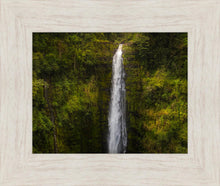 Load image into Gallery viewer, Akaka Falls, Hawaii