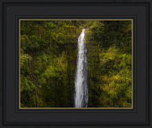 Load image into Gallery viewer, Akaka Falls, Hawaii