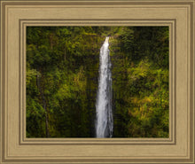 Load image into Gallery viewer, Akaka Falls, Hawaii