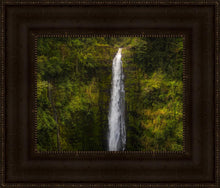 Load image into Gallery viewer, Akaka Falls, Hawaii