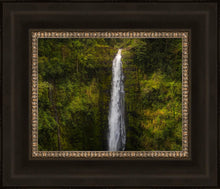 Load image into Gallery viewer, Akaka Falls, Hawaii
