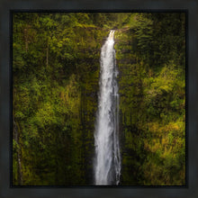 Load image into Gallery viewer, Akaka Falls, Hawaii