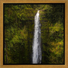 Load image into Gallery viewer, Akaka Falls, Hawaii