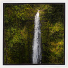 Load image into Gallery viewer, Akaka Falls, Hawaii