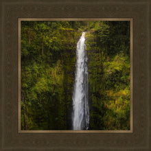 Load image into Gallery viewer, Akaka Falls, Hawaii