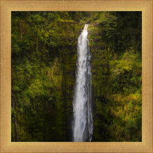Load image into Gallery viewer, Akaka Falls, Hawaii