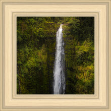 Load image into Gallery viewer, Akaka Falls, Hawaii
