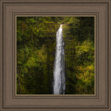 Load image into Gallery viewer, Akaka Falls, Hawaii