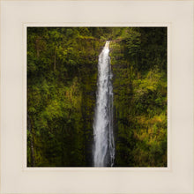 Load image into Gallery viewer, Akaka Falls, Hawaii