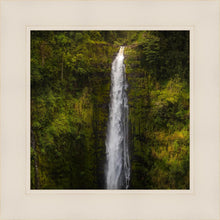 Load image into Gallery viewer, Akaka Falls, Hawaii