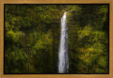Load image into Gallery viewer, Akaka Falls, Hawaii