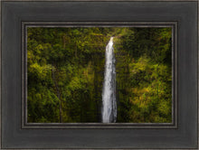 Load image into Gallery viewer, Akaka Falls, Hawaii
