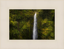 Load image into Gallery viewer, Akaka Falls, Hawaii