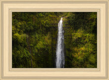 Load image into Gallery viewer, Akaka Falls, Hawaii
