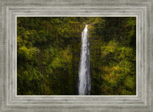 Load image into Gallery viewer, Akaka Falls, Hawaii