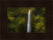 Load image into Gallery viewer, Akaka Falls, Hawaii