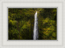Load image into Gallery viewer, Akaka Falls, Hawaii