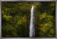 Load image into Gallery viewer, Akaka Falls, Hawaii