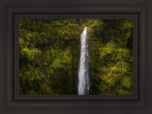 Load image into Gallery viewer, Akaka Falls, Hawaii