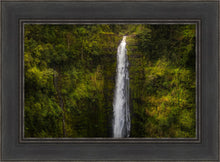 Load image into Gallery viewer, Akaka Falls, Hawaii