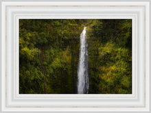 Load image into Gallery viewer, Akaka Falls, Hawaii